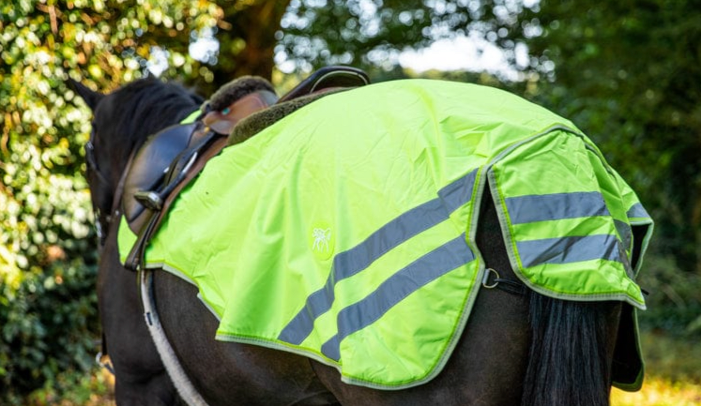 HI-Viz-Übungsblatt