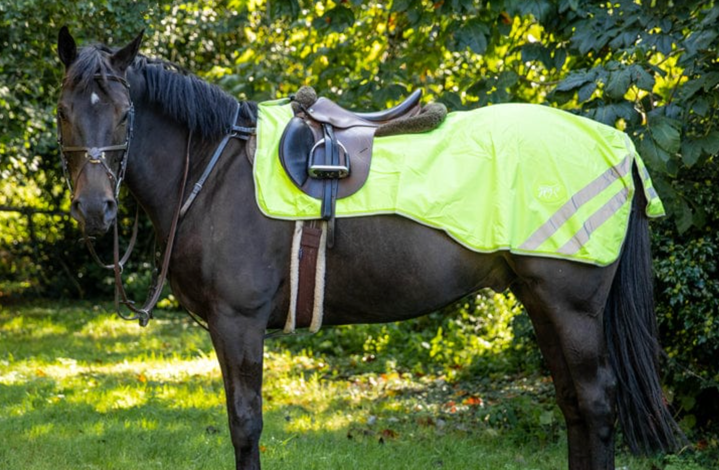 HI-Viz-Übungsblatt