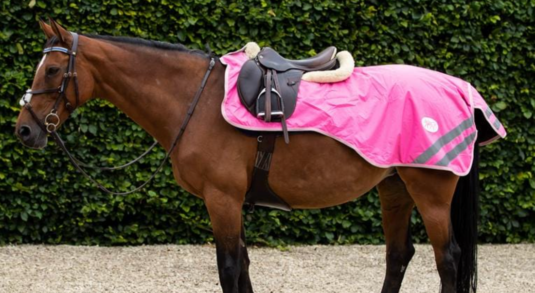 Horse Rugs Brand - Swish Equestrian Ireland – Swish Equestrian Ireland ...
