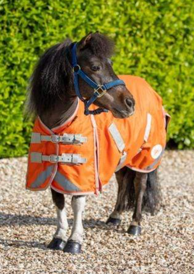 50g Dinky Orange Mini Turnout Rug