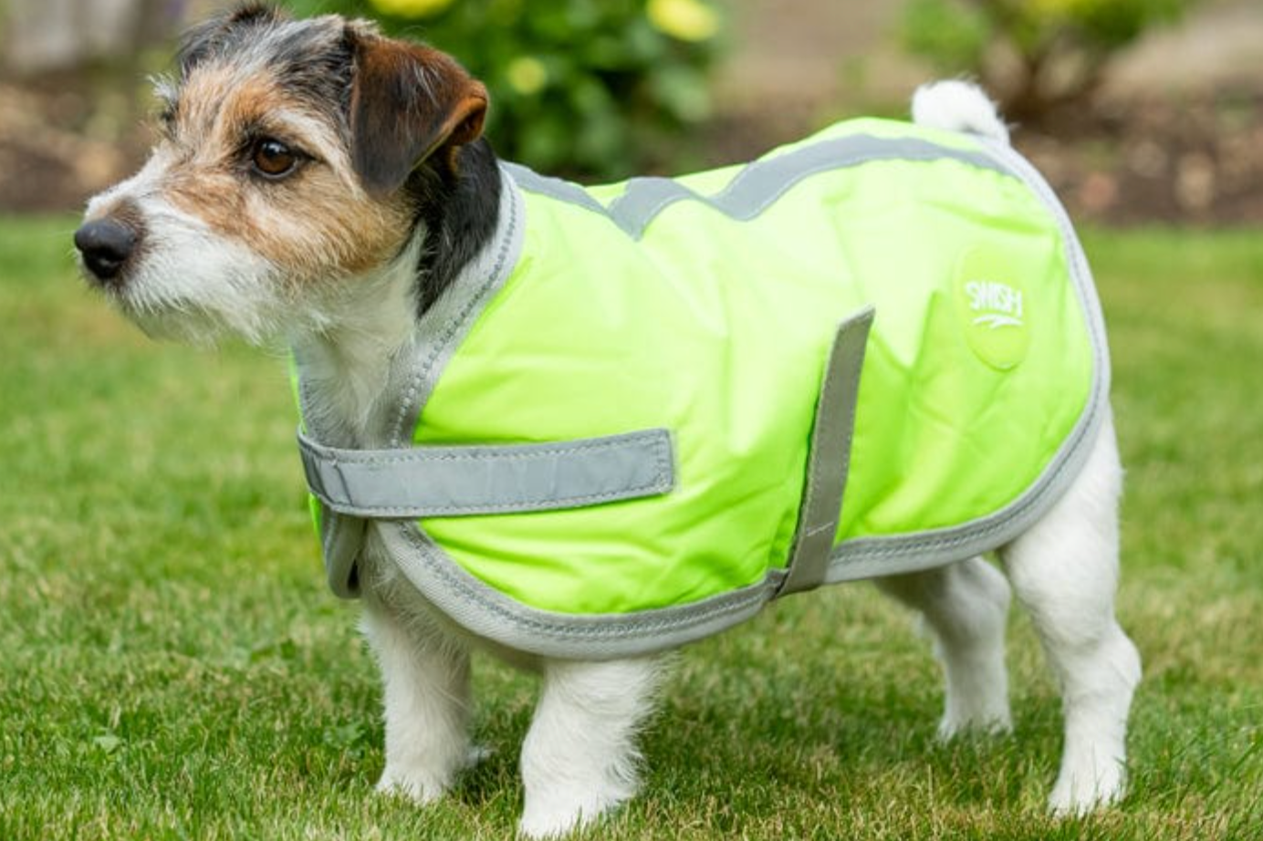 Manteau pour chien - Orange 