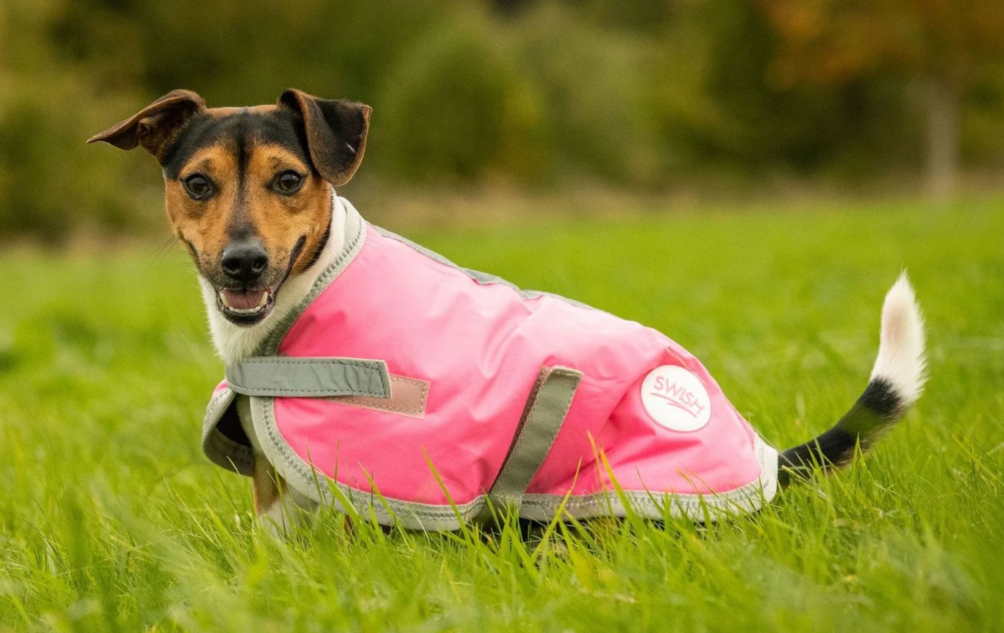 Dog Coat - Hi-Viz Pink