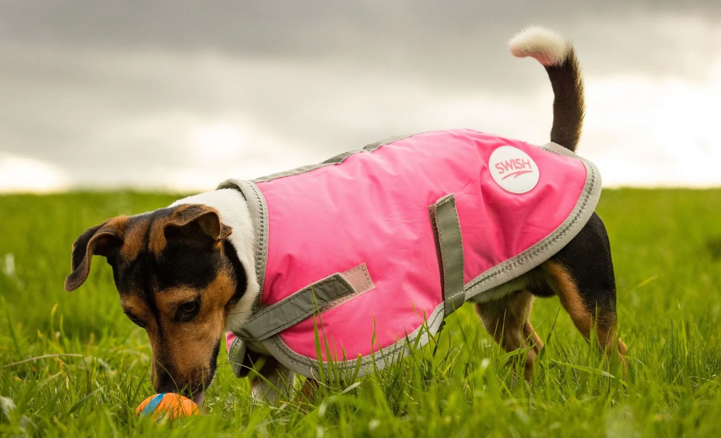 Manteau pour chien - Orange 