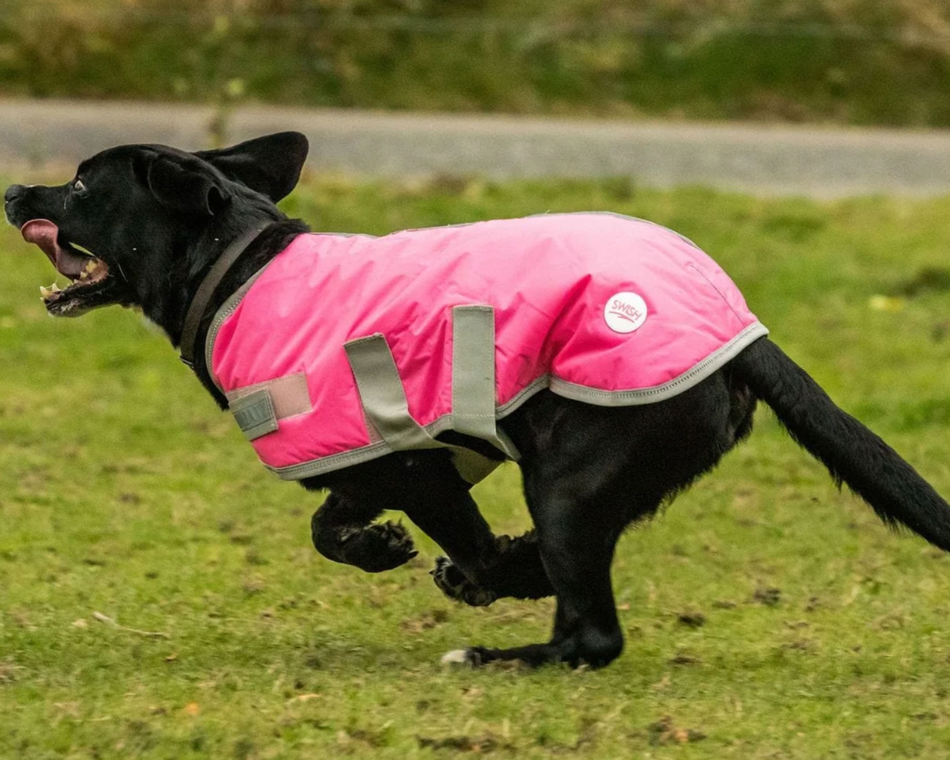 Dog Coat - Hi-Viz Pink