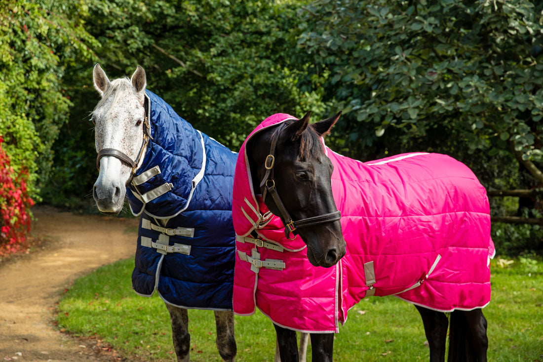 Horse Rugs Brand - Swish Equestrian Ireland