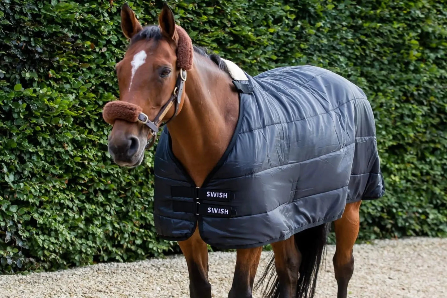 Horse Liner Rug 50g - Partner Rug for Turnouts and Stable rugs – Swish ...