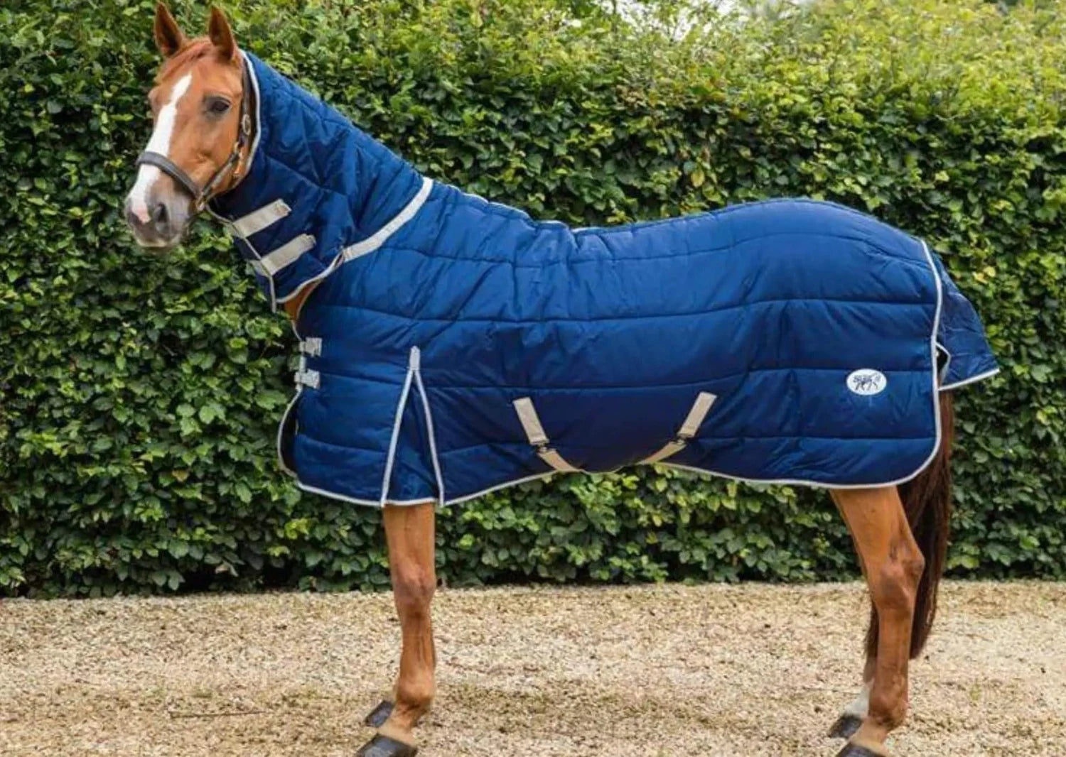 360g Heavy Weight Horse Stable Rug with detachable neck 5 Star Reviews ...