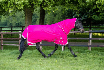 200g Medium Weight Horse Turnout Rug - Dual Use - Pink - Swish Equestrian Ireland