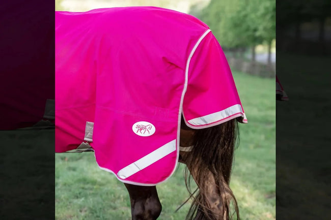 200g Medium Weight Horse Turnout Rug - Dual Use - Pink - Swish Equestrian Ireland