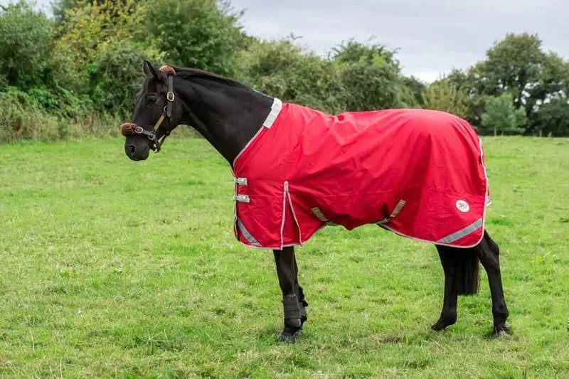 100g Turnout Rug - Red Swish Equestrian Ireland
