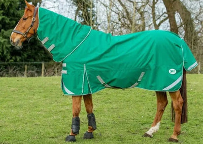 200g Medium Weight Horse Turnout Rug - Dual Use - Green - Swish Equestrian Ireland