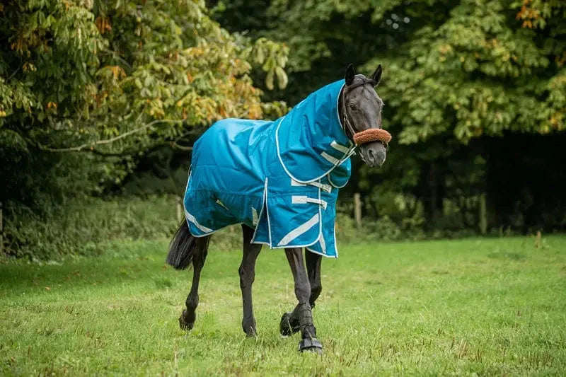 200g Turnout Rug - Turquoise
